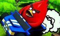 Poultry ACE Downhill Racing Game Online