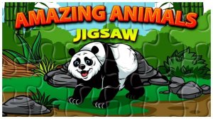 Nature Scene Puzzle Assembly