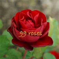 99 Roses &ndash; Room Escape Puzzle Game