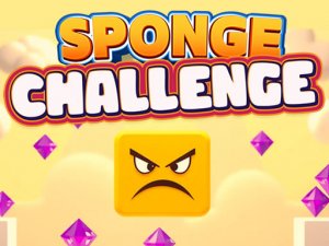 Sponge Challenge Online Puzzle Game