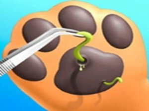Pet Care Online Game