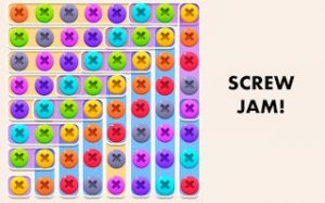 Screw Sort Puzzle: Calm Matching Game