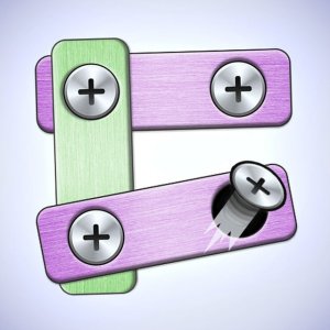 Pin Master Online Puzzle Game