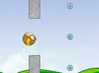Brave Owl Online Game