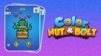 Color Nuts & Bolts Puzzle Online Game